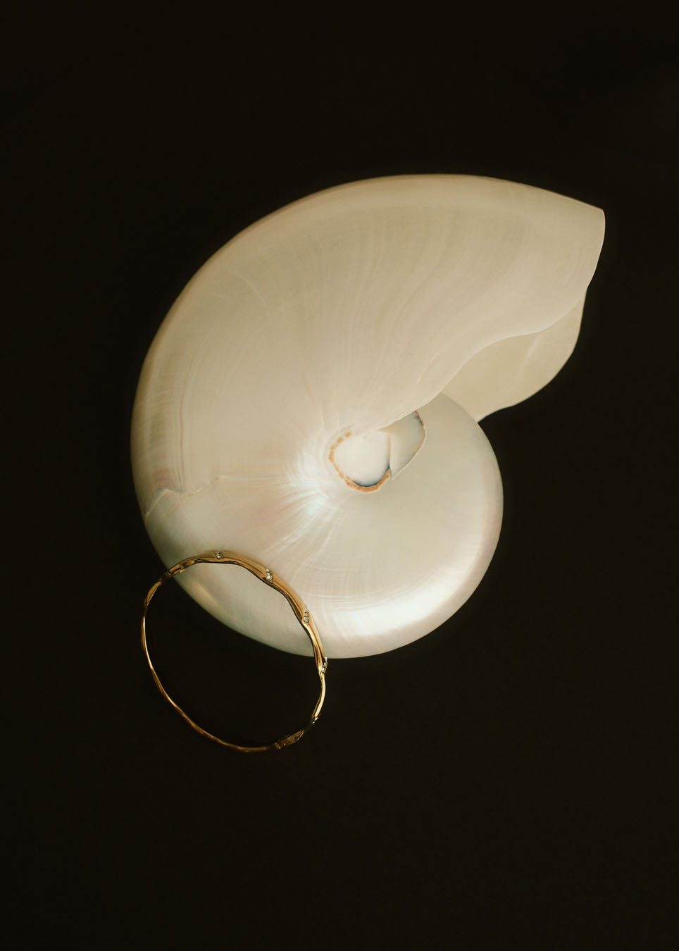 Bamboo Spark Bangle